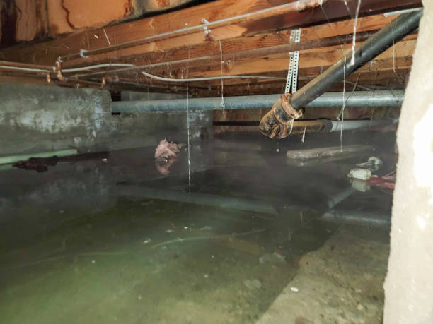 Best Water damage restoration near me  in Belle Mead, NJ