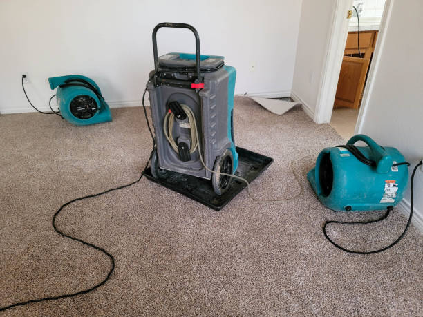 Carpet water damage restoration in NJ