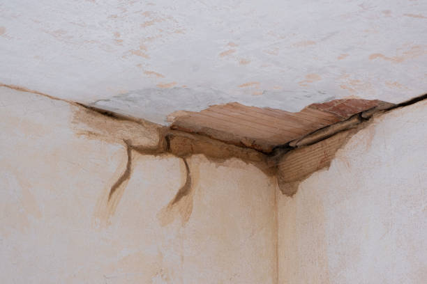 Best Flooded house restoration  in Belle Mead, NJ