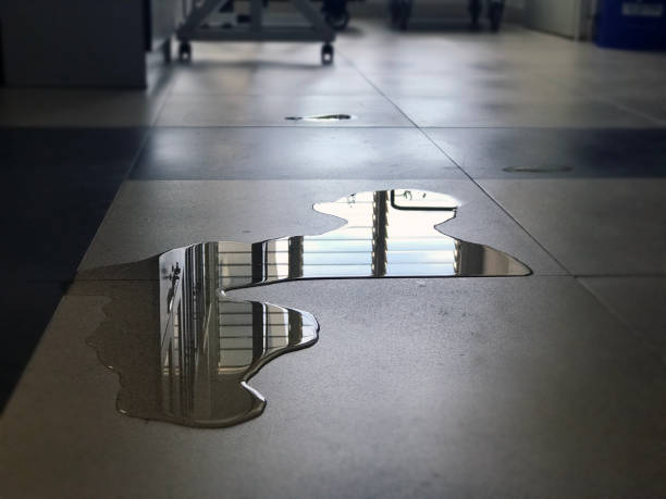 Best Water damage restoration near me  in Belle Mead, NJ