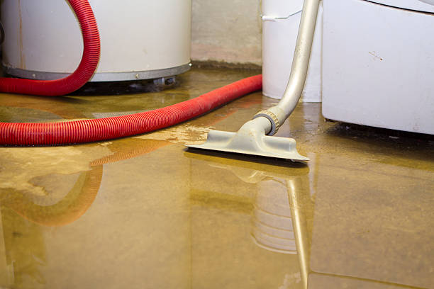 Best Water damage restoration services  in Belle Mead, NJ