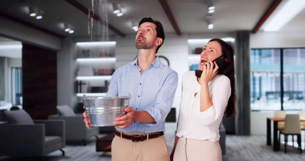 Best Water damage cleanup near me  in Belle Mead, NJ